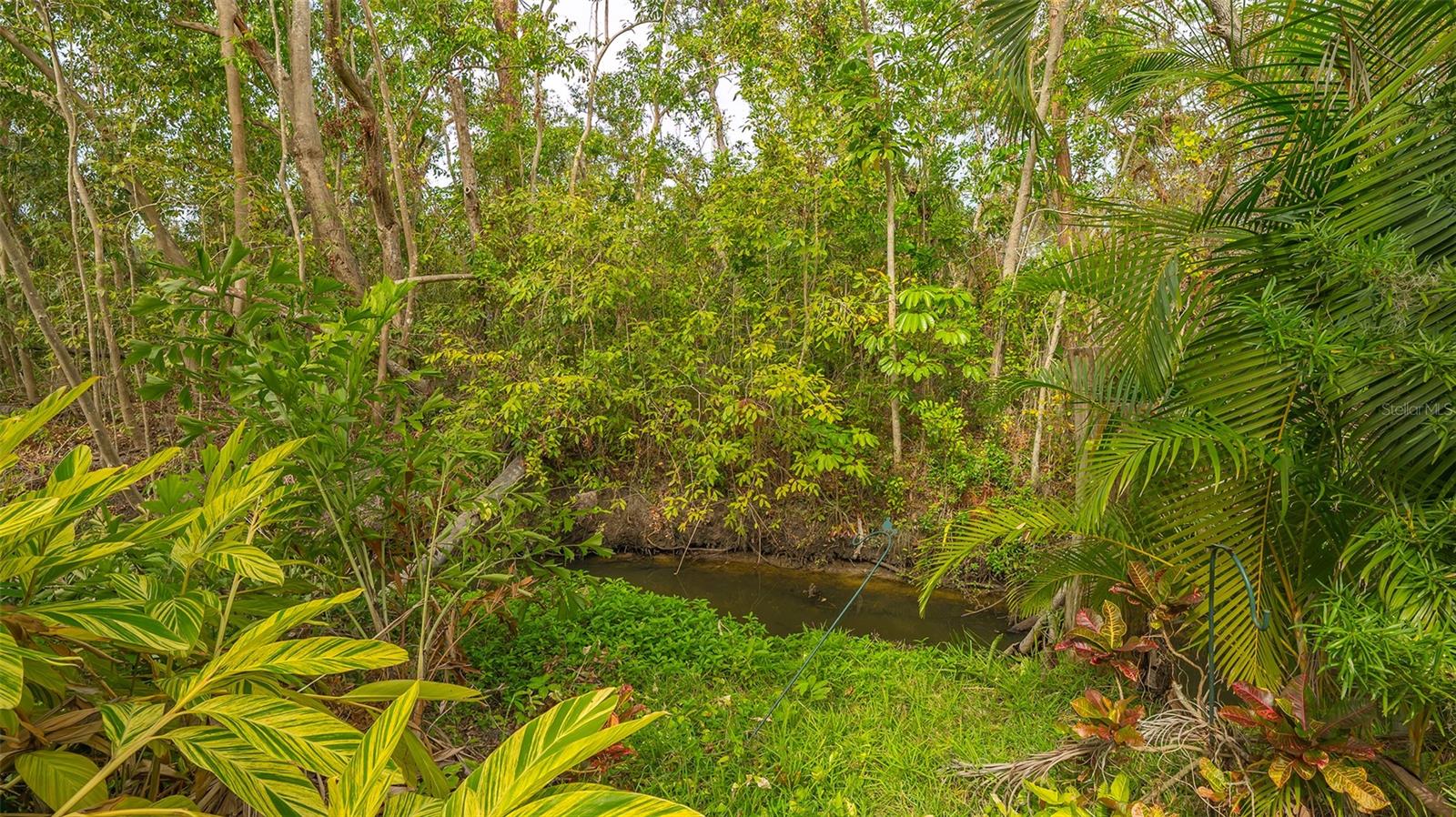 1621 CLOWER CREEK DR #TR173