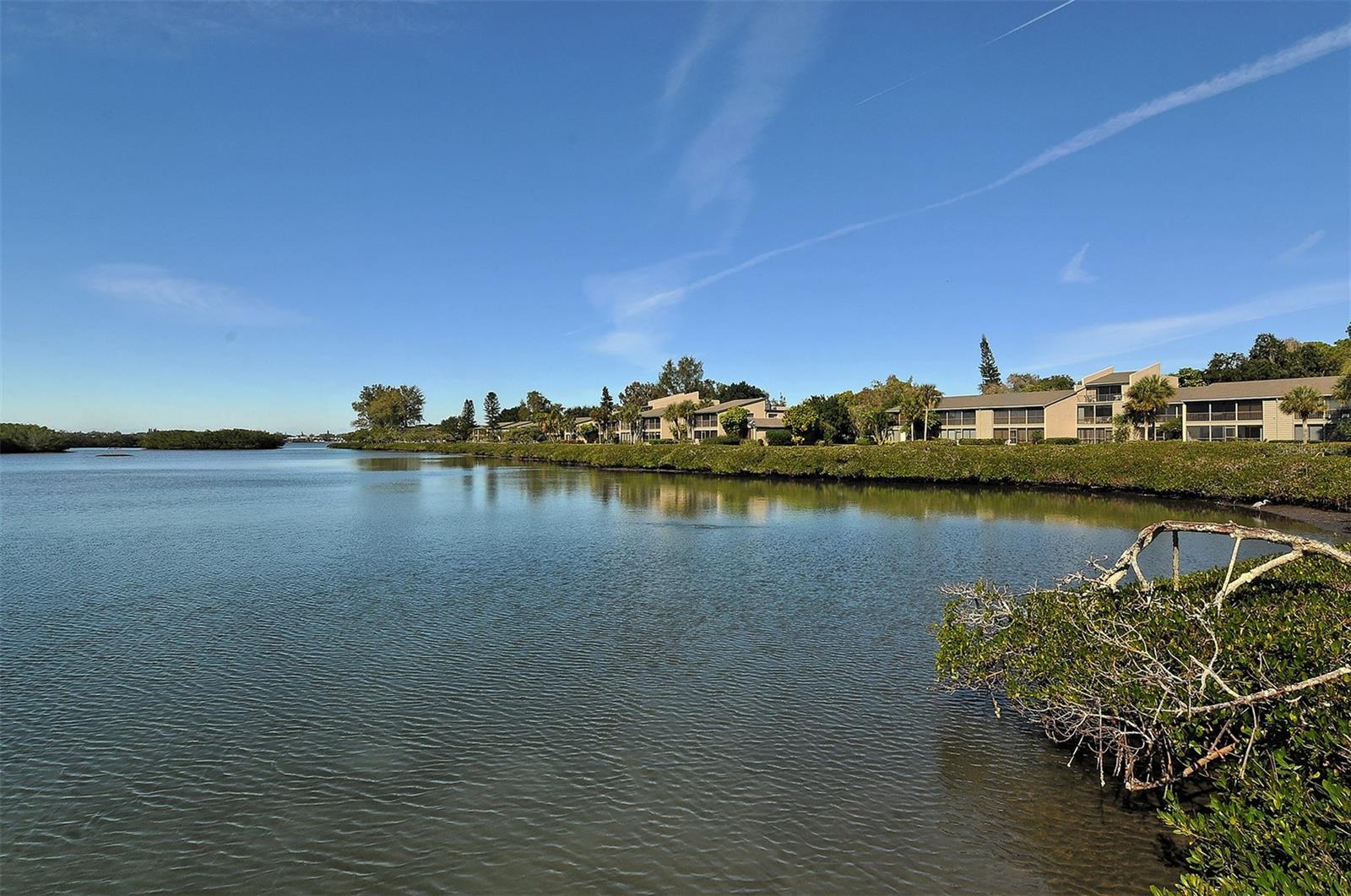 1621 CLOWER CREEK DR #TR173