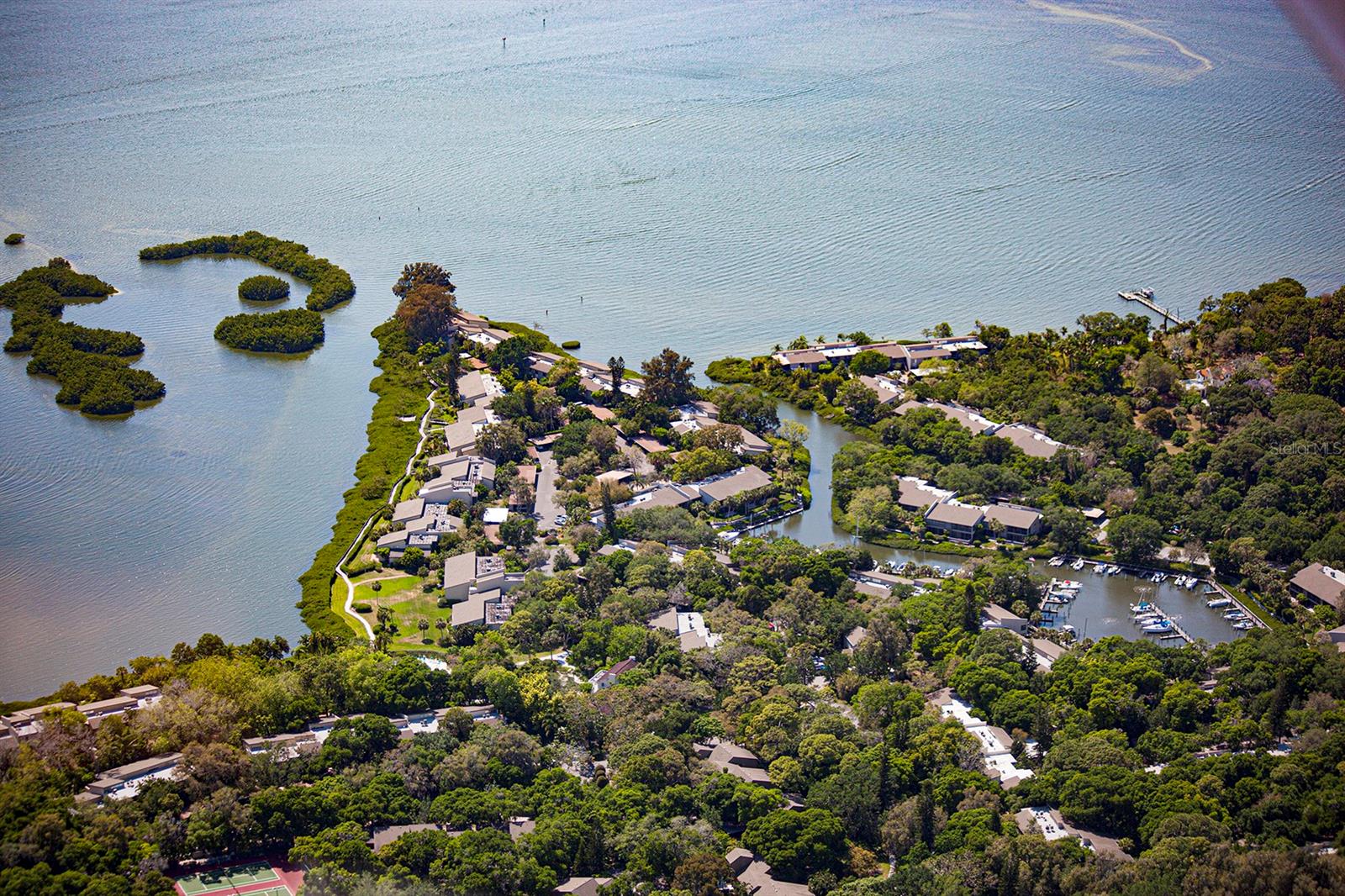 1519 PELICAN POINT DR #288