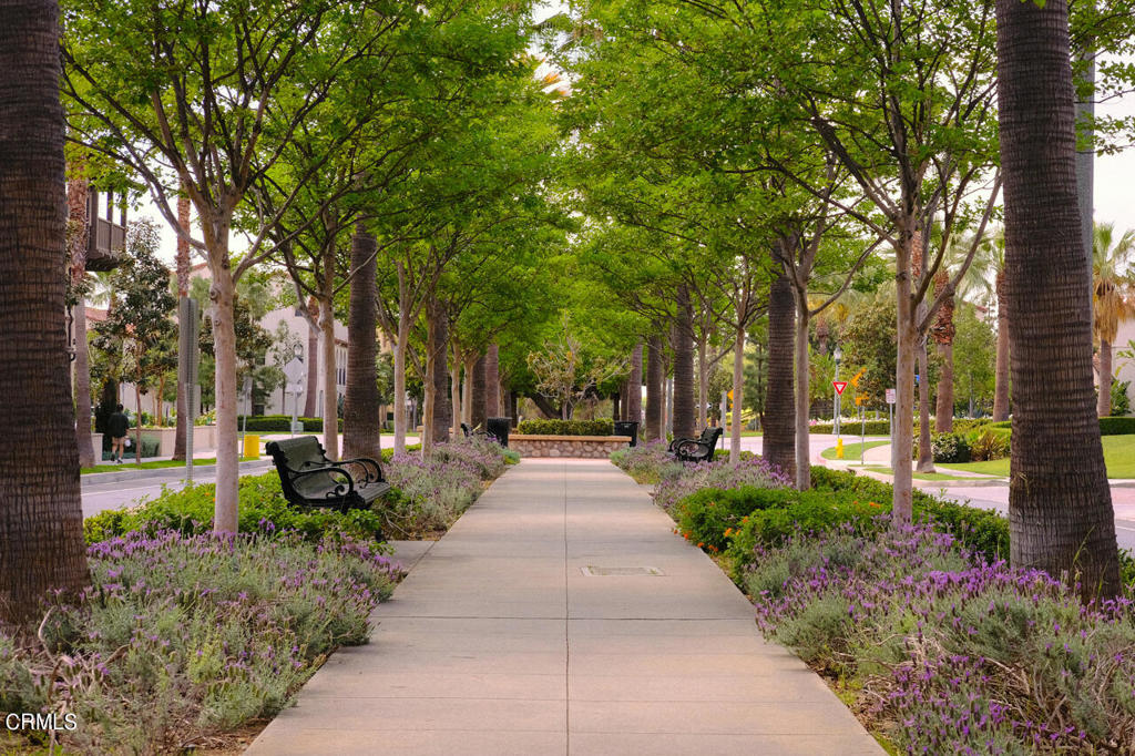 849 E Promenade Unit: D