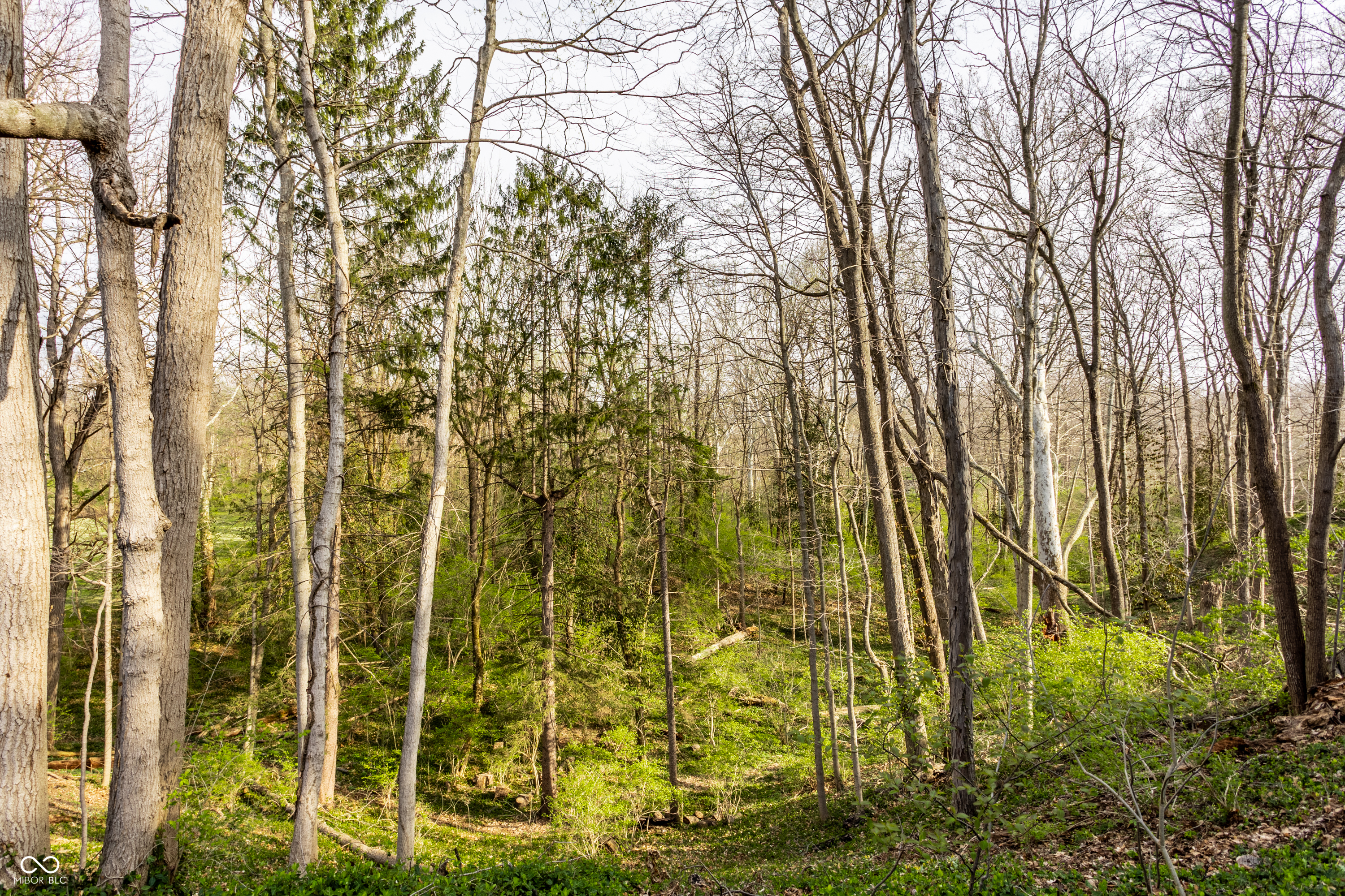 7548 Morningside Drive