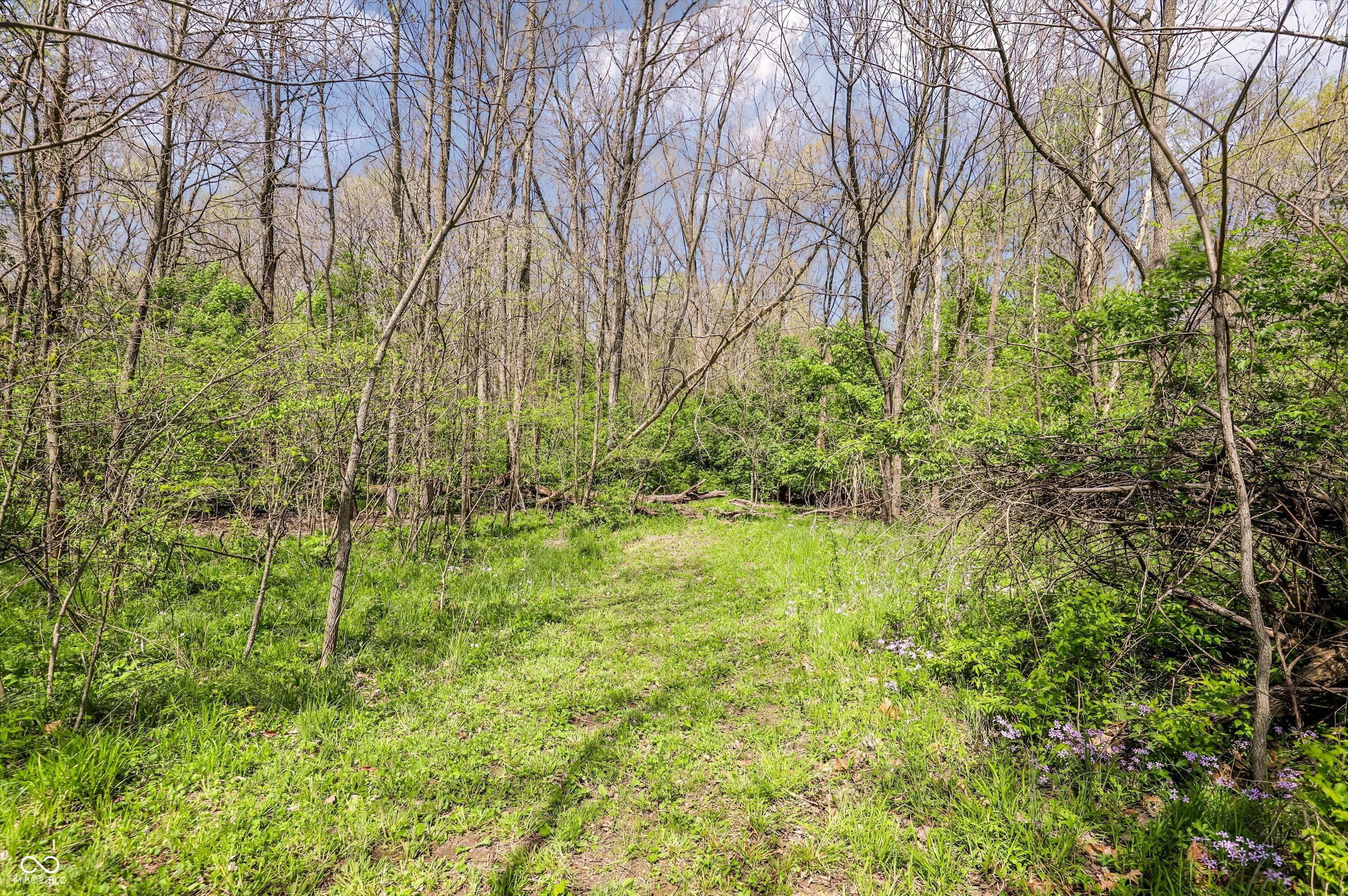 27372 Will Parker Road