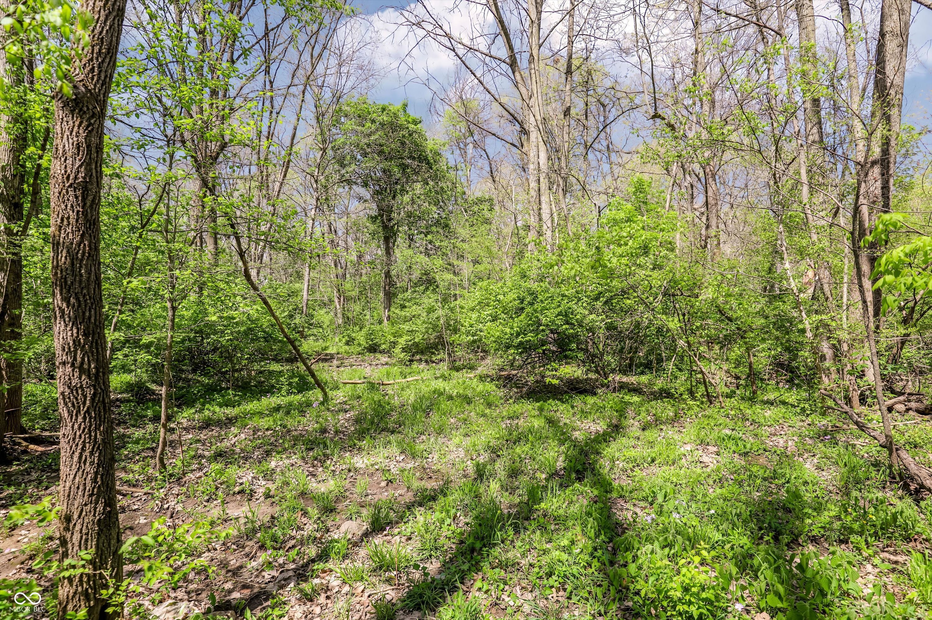27372 Will Parker Road