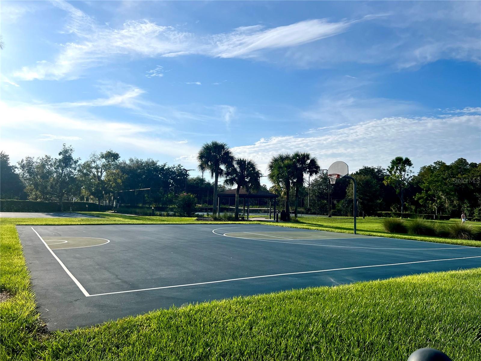 5814 SWEET WILLIAM TER