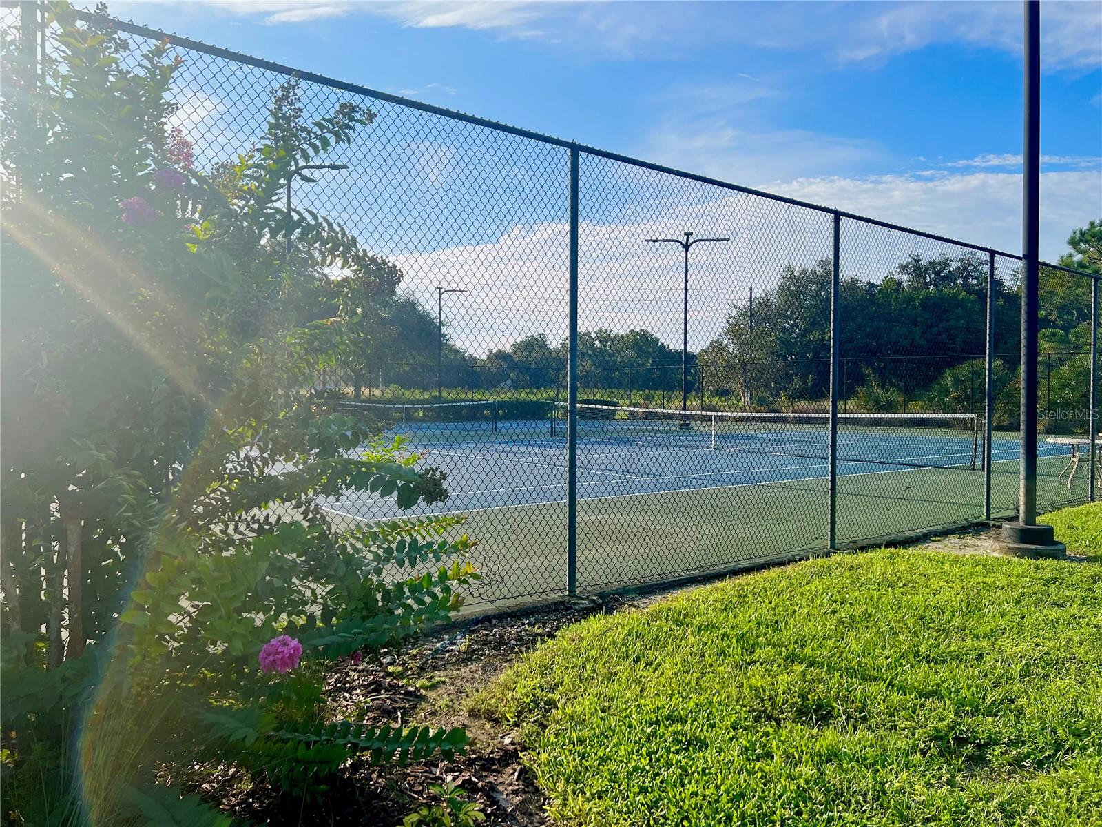 5814 SWEET WILLIAM TER