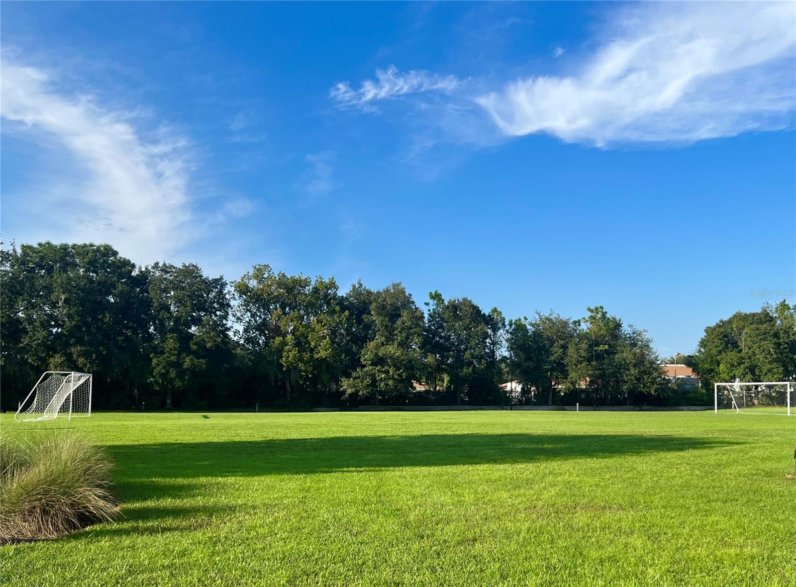 5814 SWEET WILLIAM TER