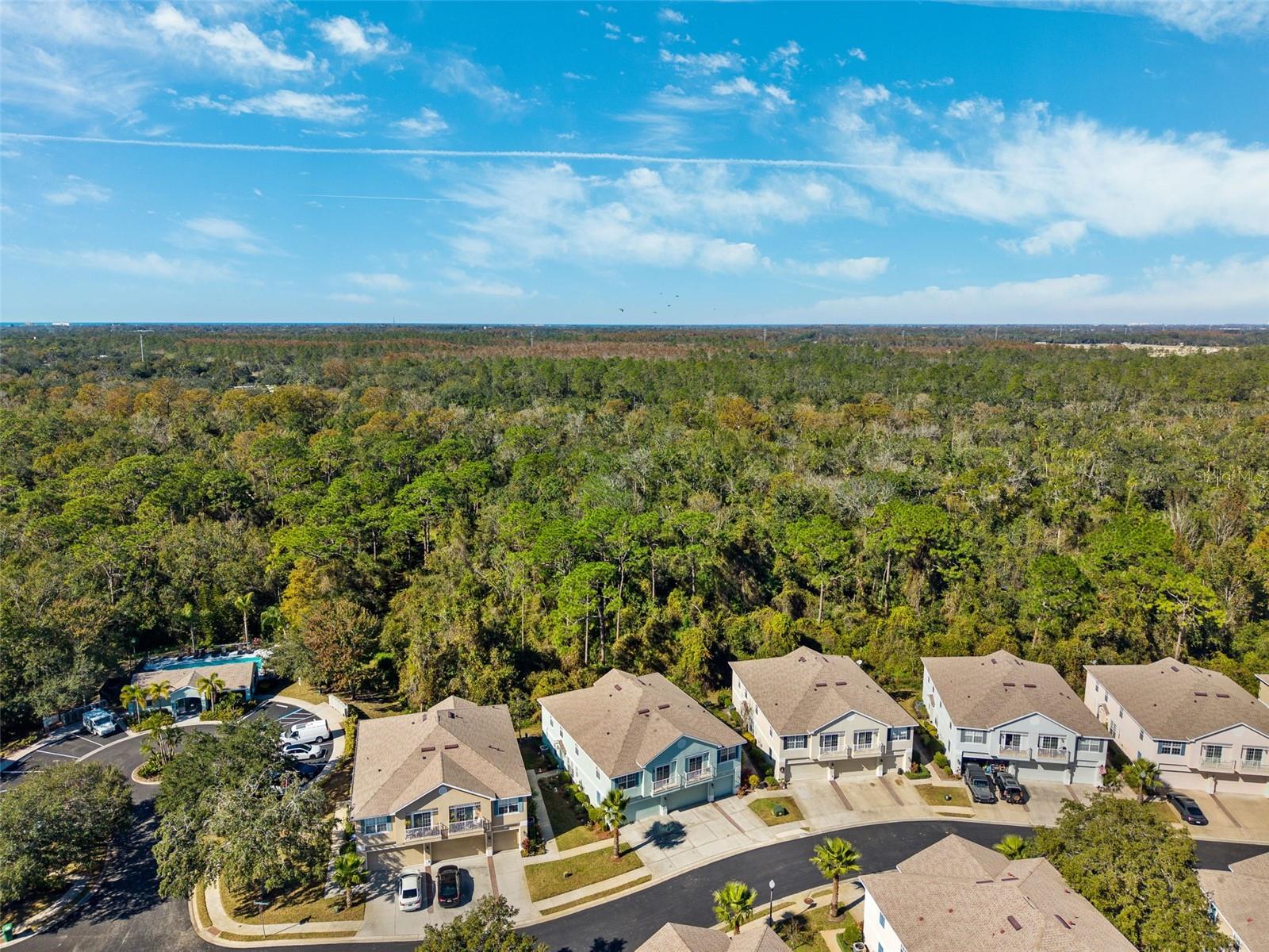 8455 SHALLOW CREEK CT