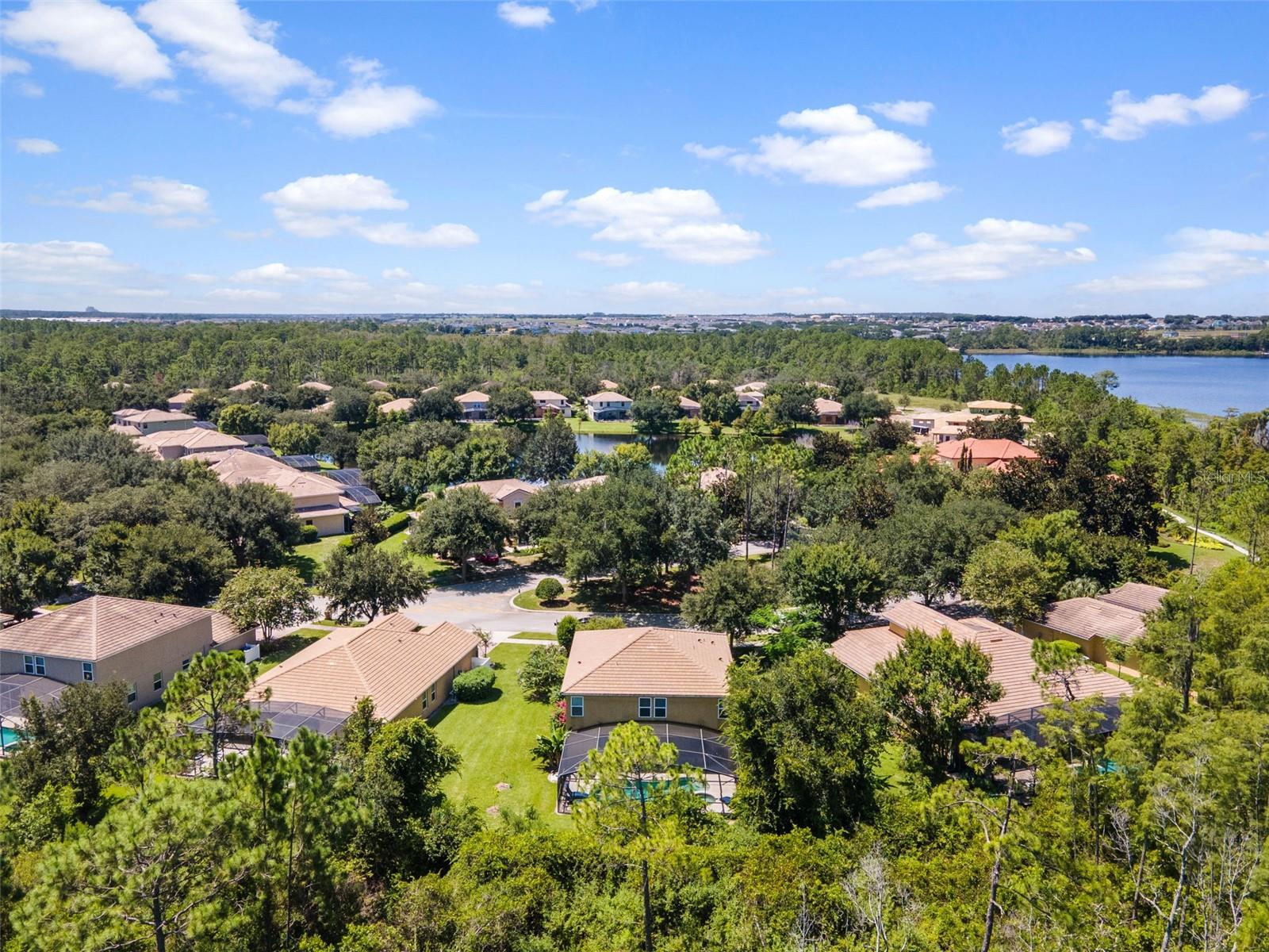 9049 PAOLOS PL