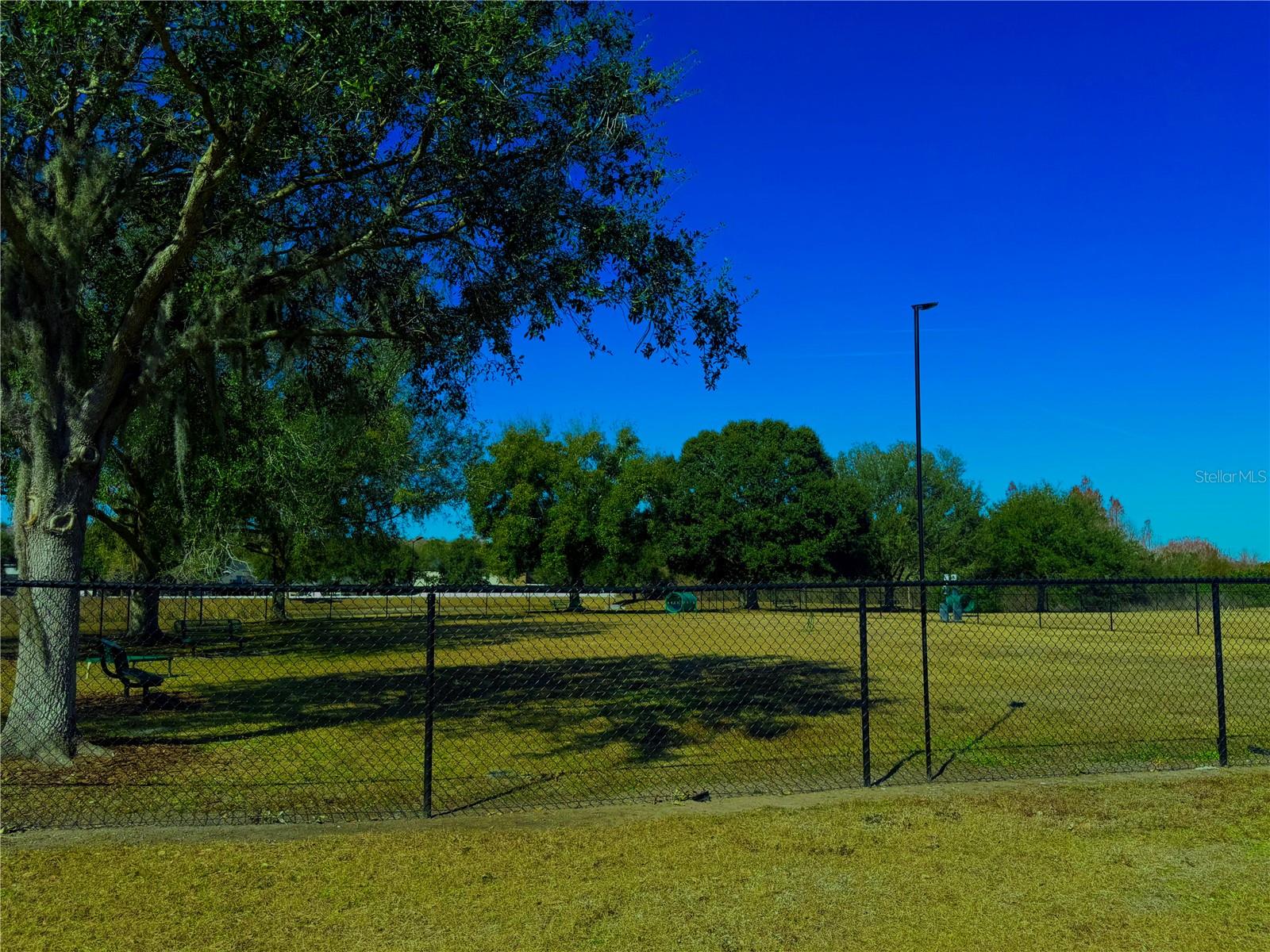 17248 POPPY FIELDS LN