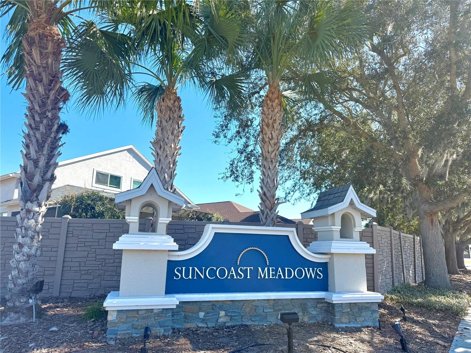 17248 POPPY FIELDS LN