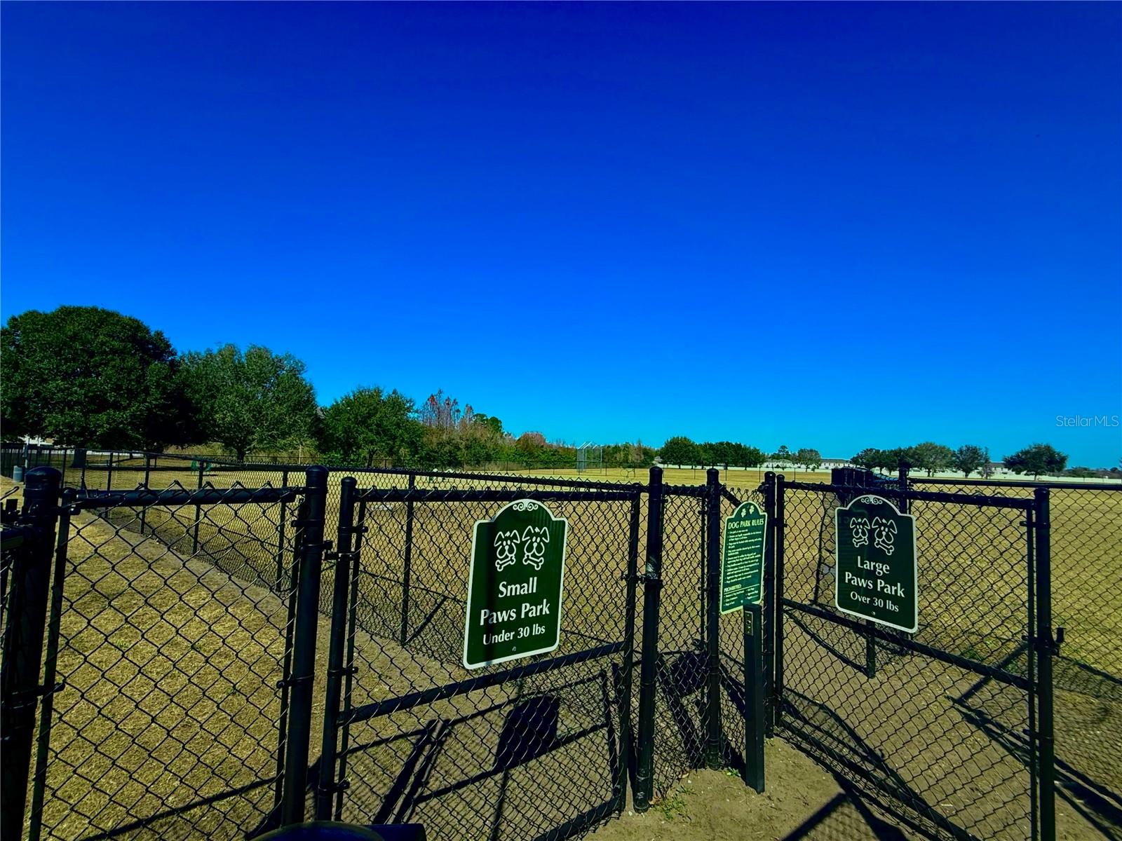 17248 POPPY FIELDS LN