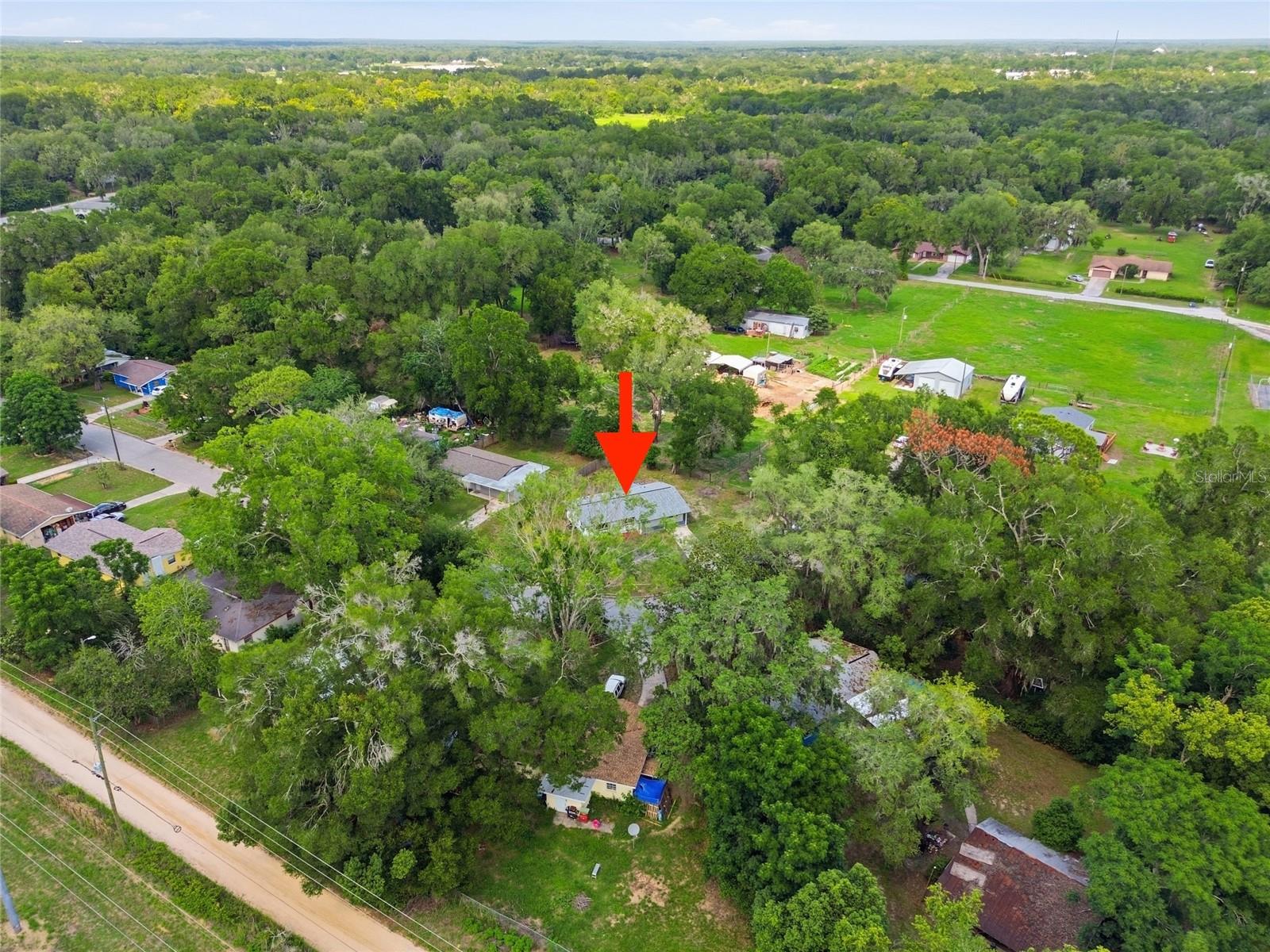 20514 MICKENS DR