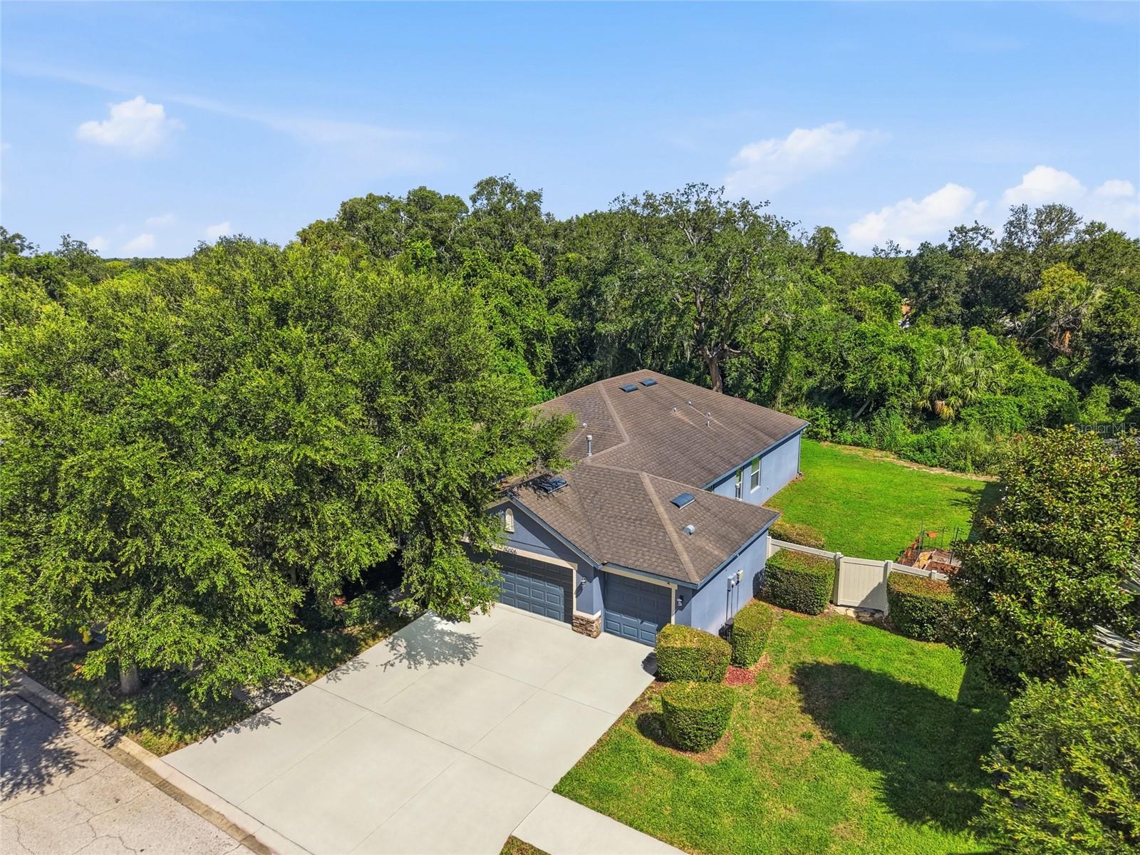 10106 CARAWAY SPICE AVE
