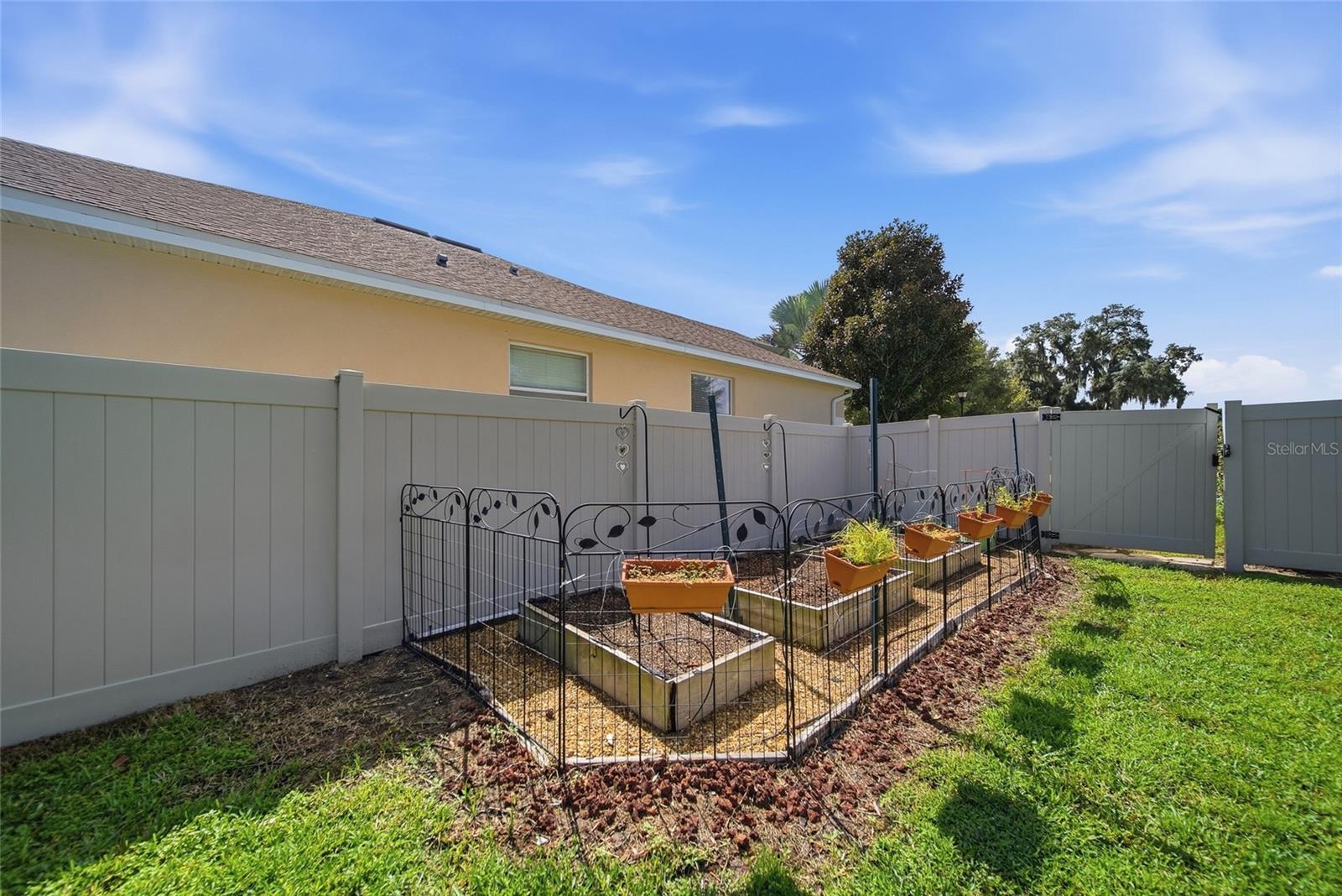 10106 CARAWAY SPICE AVE