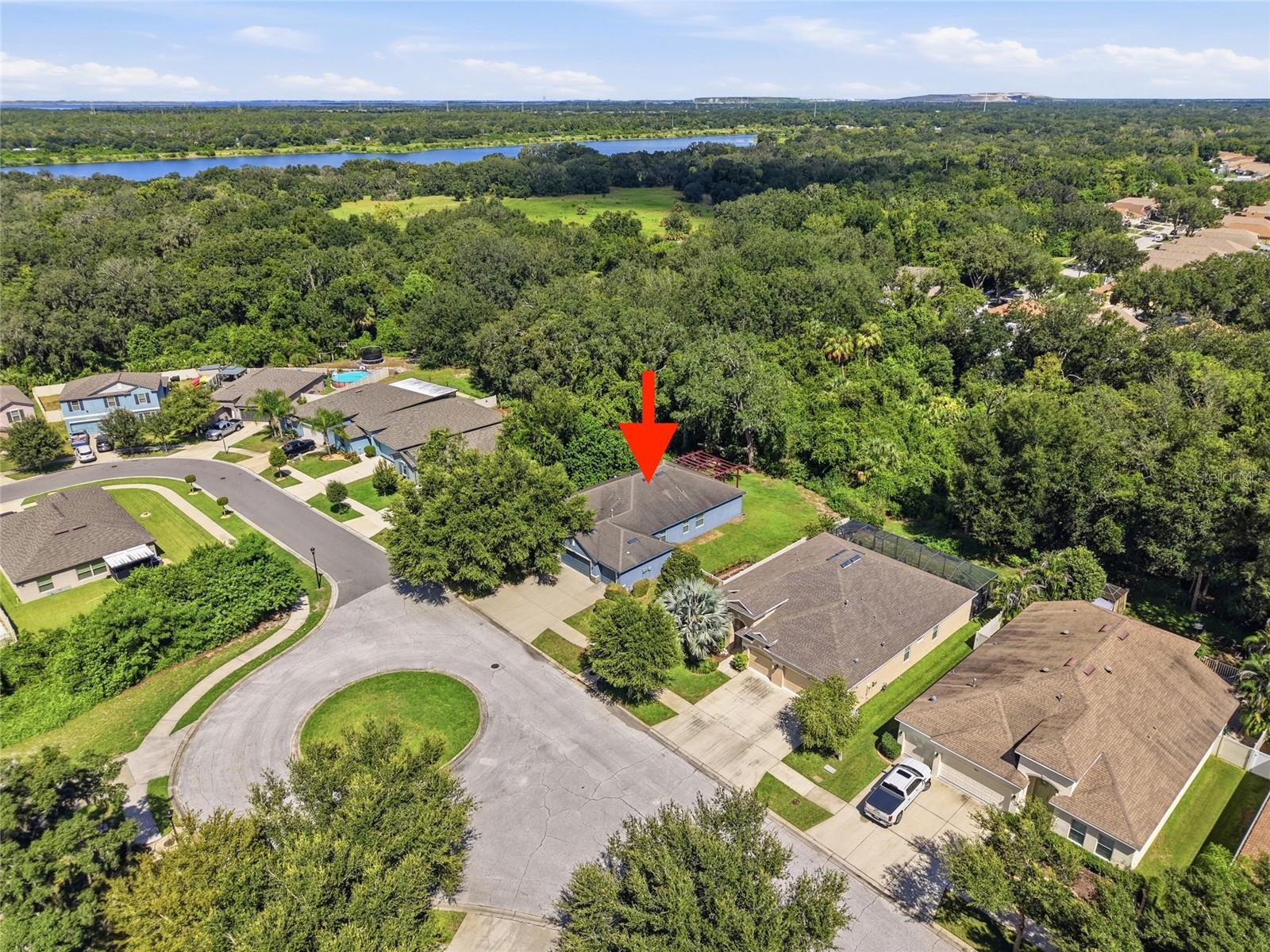 10106 CARAWAY SPICE AVE