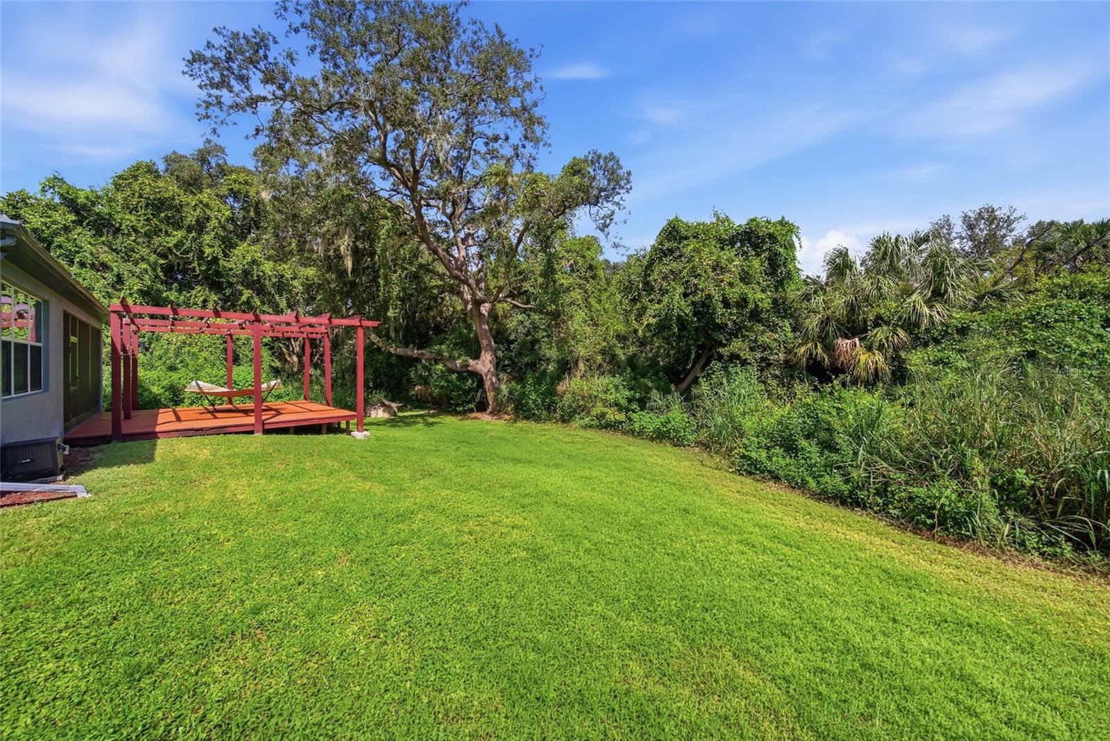 10106 CARAWAY SPICE AVE