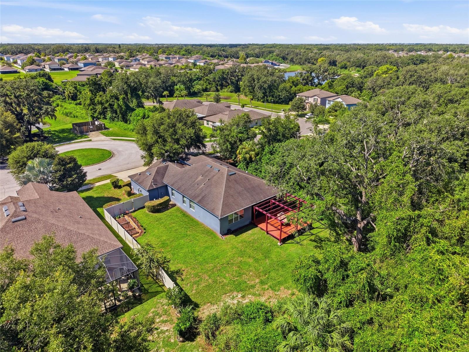 10106 CARAWAY SPICE AVE