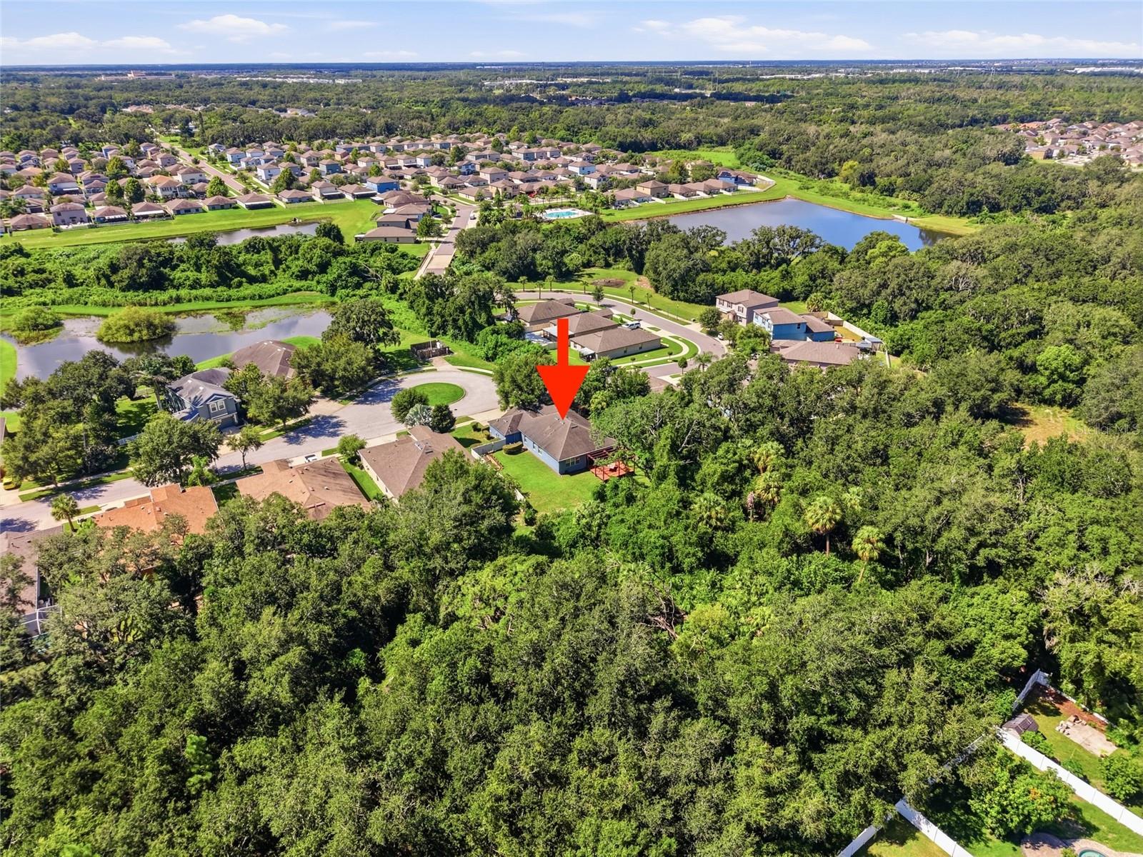 10106 CARAWAY SPICE AVE