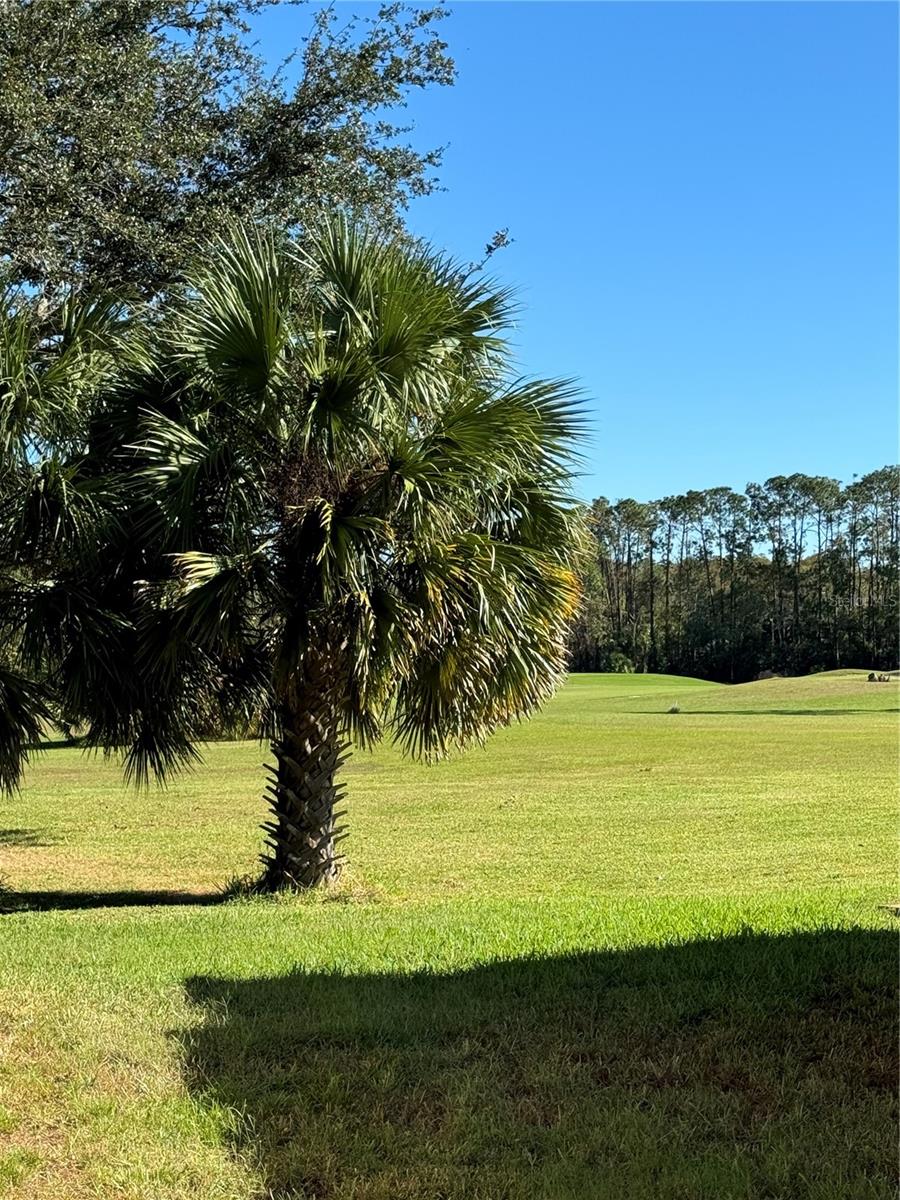 12022 TOURNAMENT VIEW AVE