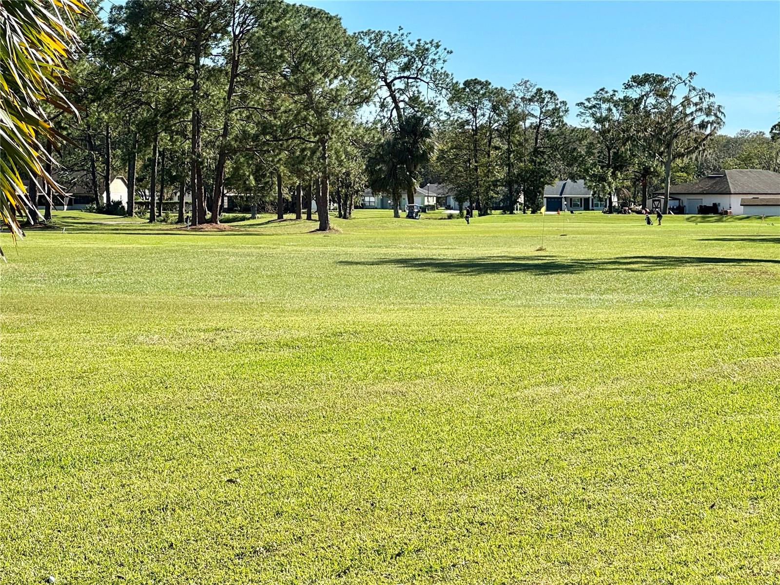 12022 TOURNAMENT VIEW AVE