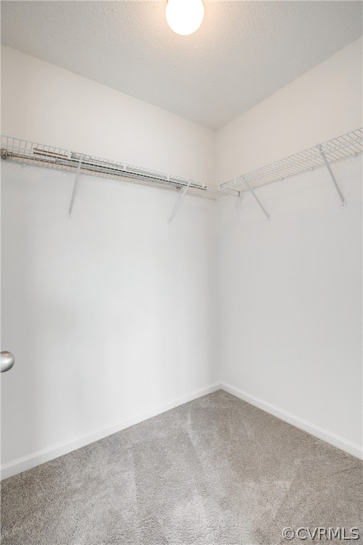 800 Brassie Ln Unit#N