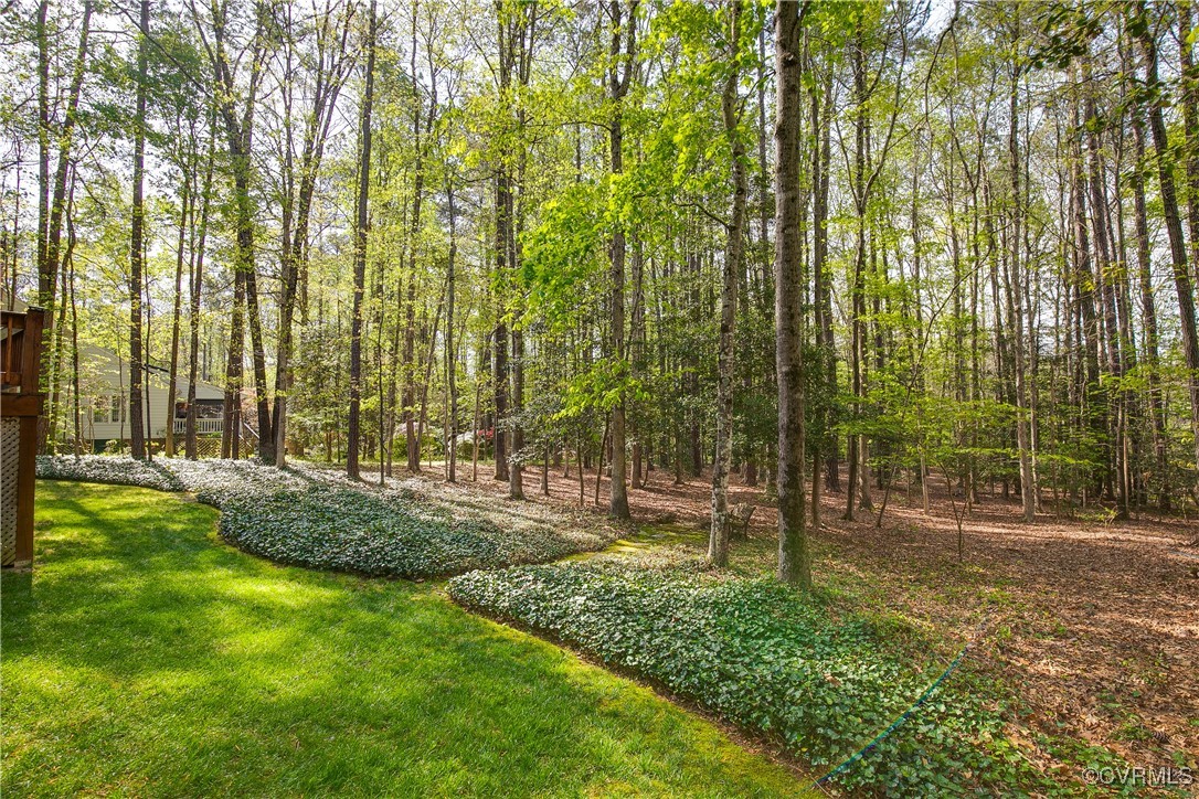 15301 Fox Briar Ct