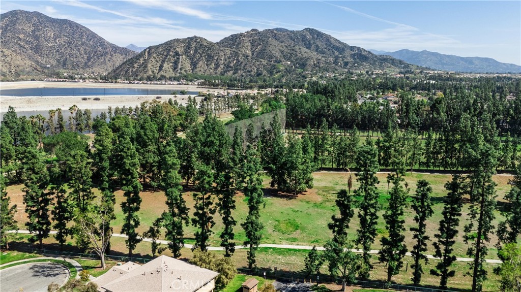 1070 W Calle de las Estrellas 4