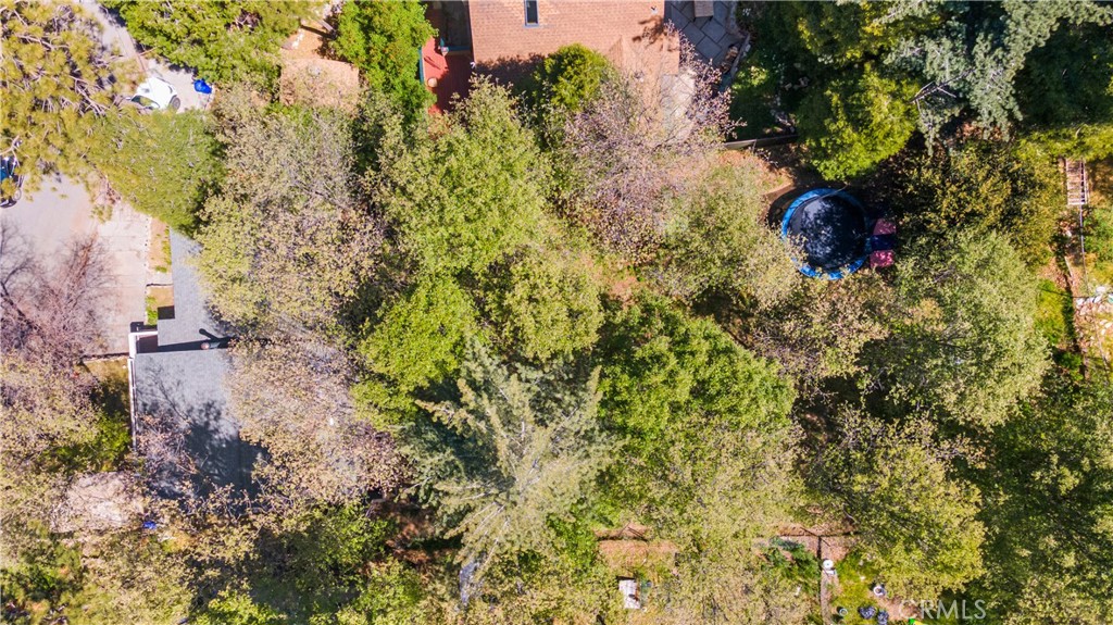 279 Forest Circle