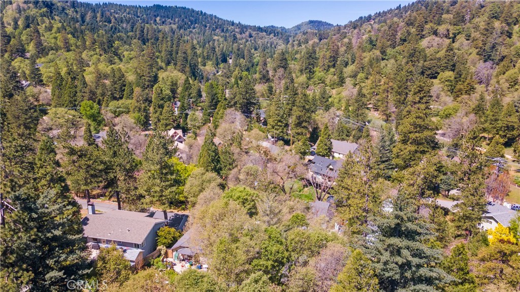 279 Forest Circle