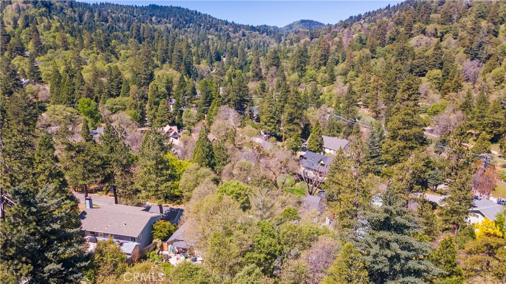 279 Forest Circle