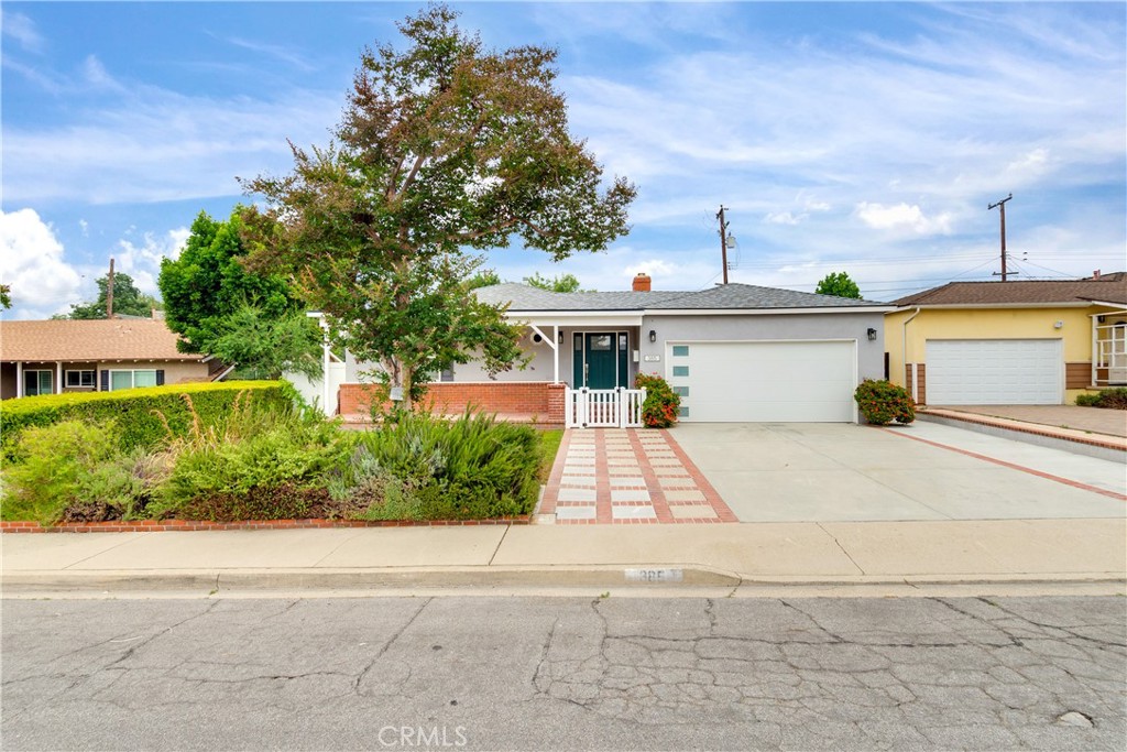 385 Sycamore