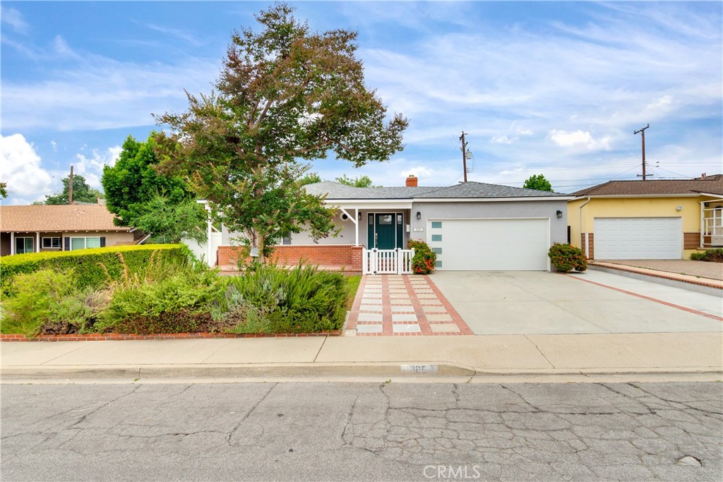 385 Sycamore