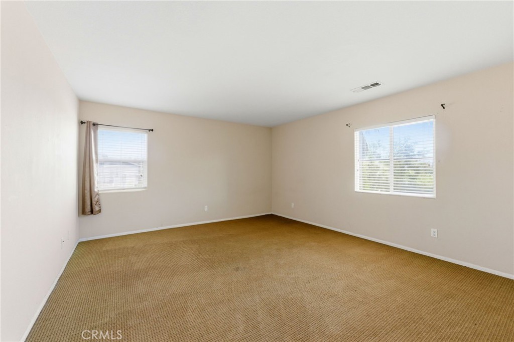 13048 Wild Sage