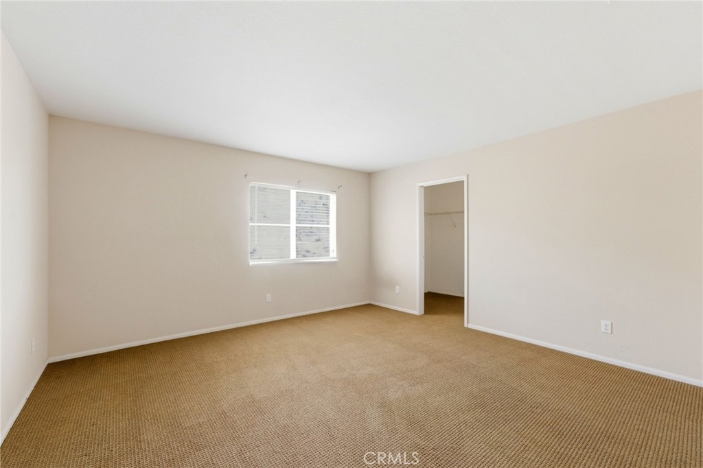 13048 Wild Sage