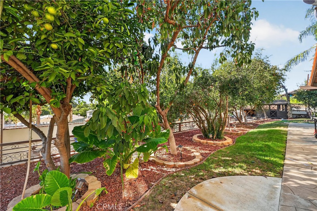 10225 60th