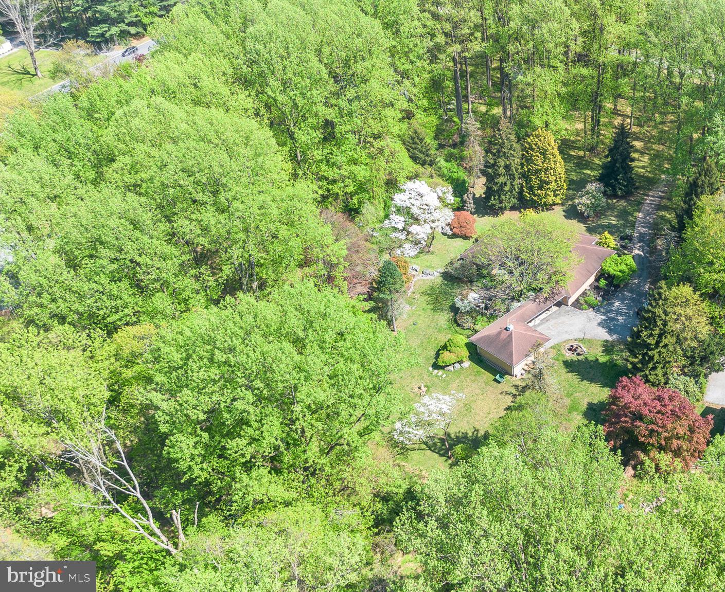 501 WEBB ROAD D
