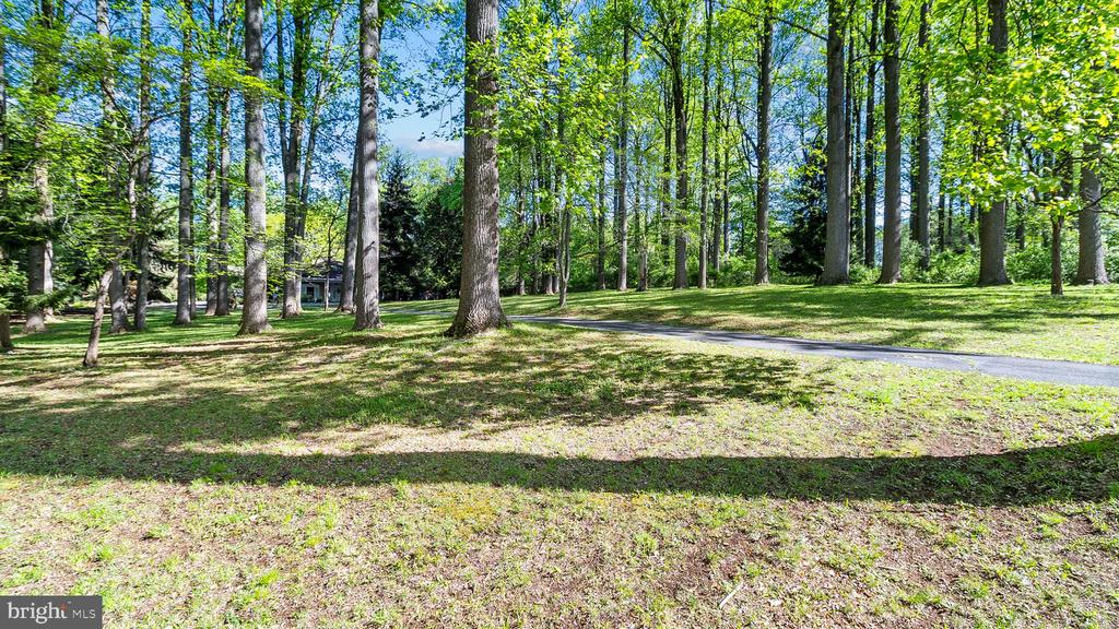 Tree-lined grounds with a curving driveway and a partially visible house.