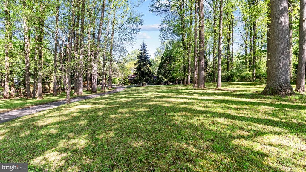 Tree-lined lawn with a curving driveway and a house partly visible in the distance.