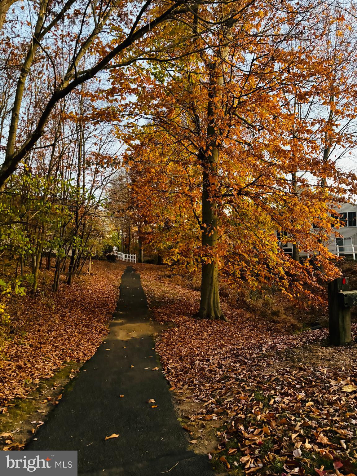 209 N SILVER FOX DRIVE