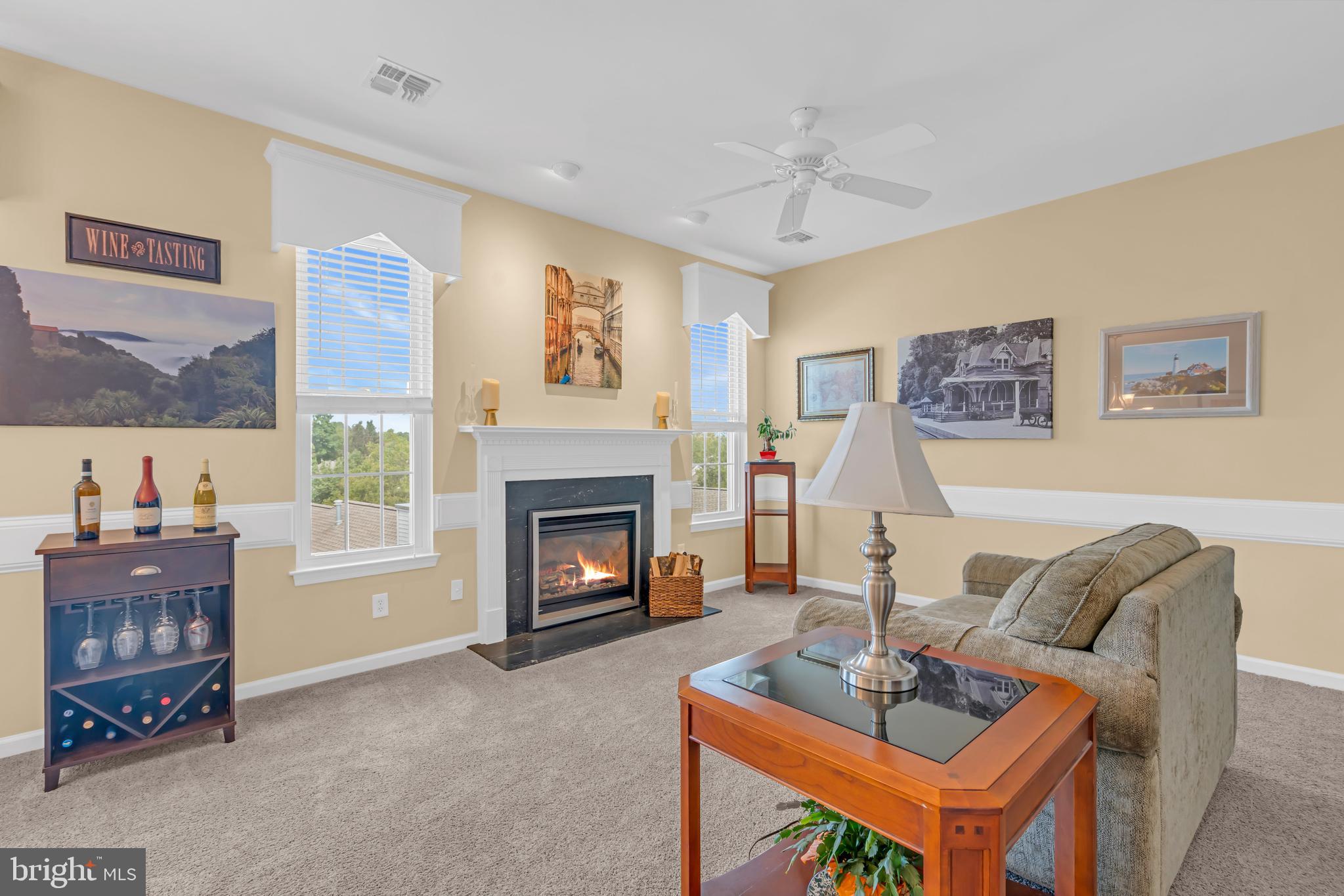 209 N SILVER FOX DRIVE