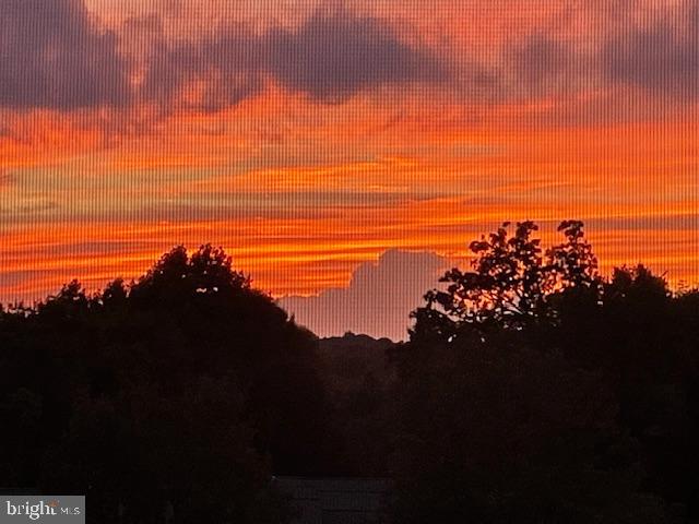 209 N SILVER FOX DRIVE