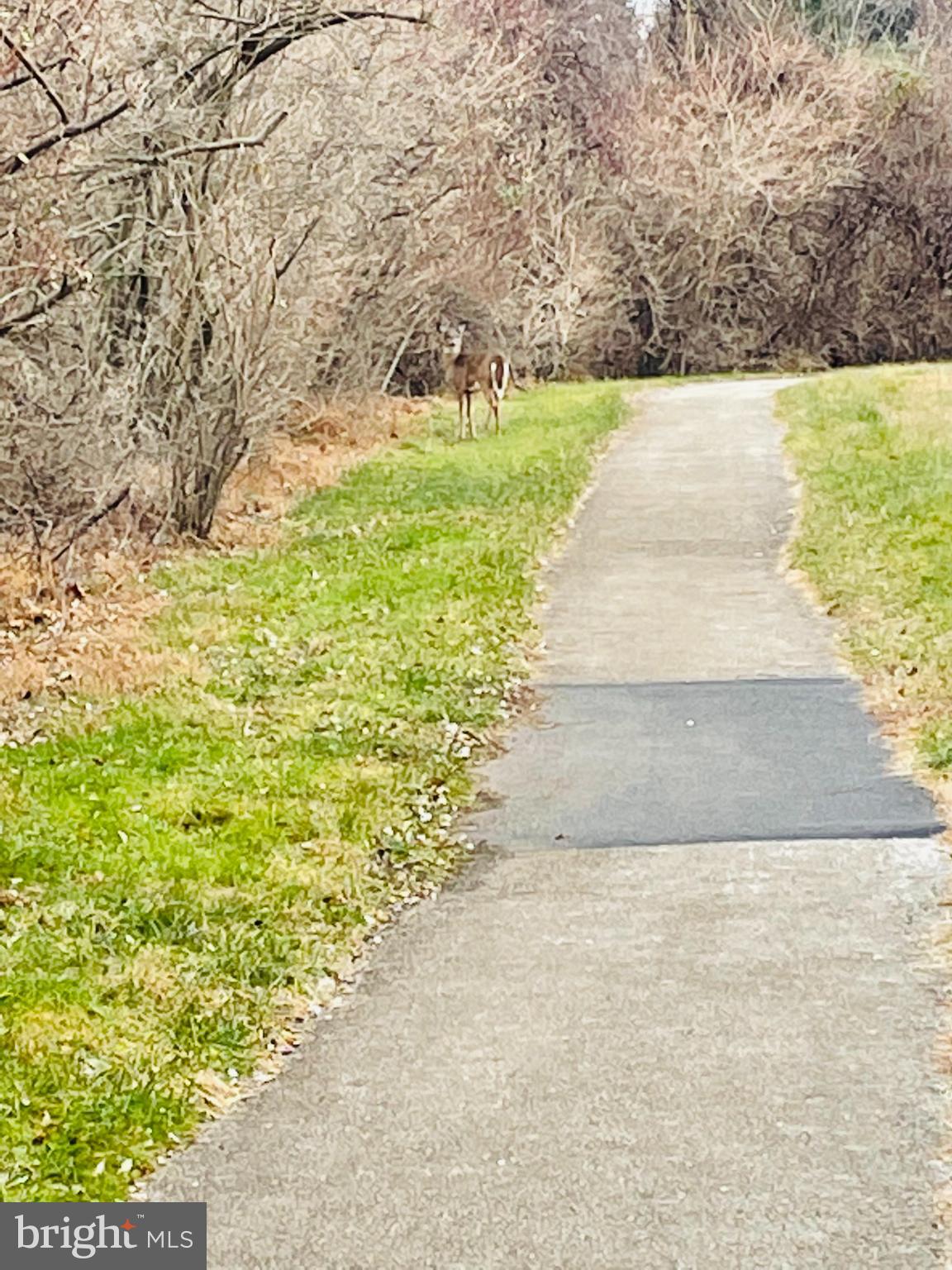 209 N SILVER FOX DRIVE