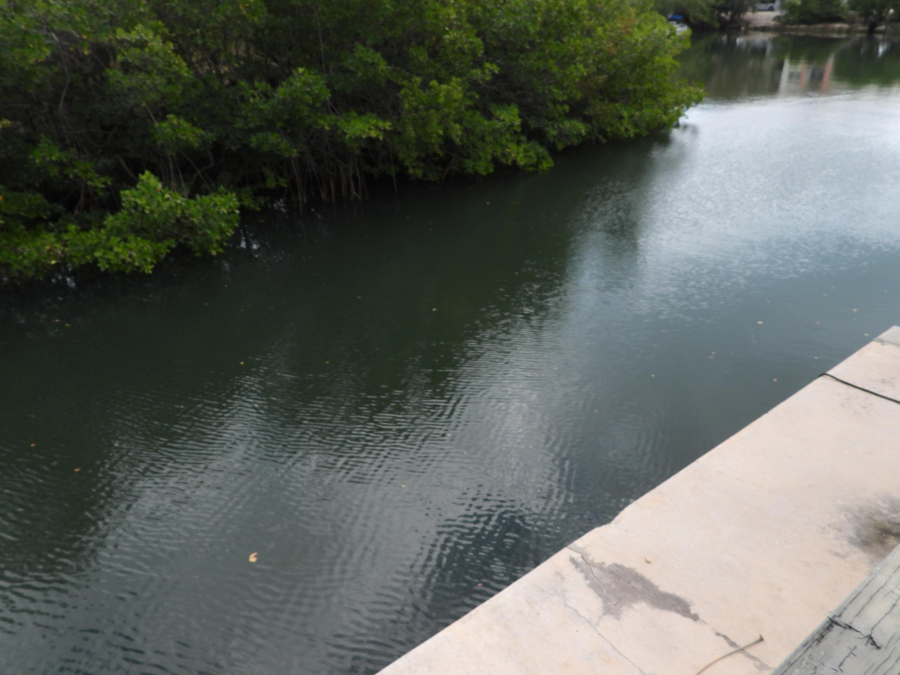 9 47Th Street Gulf