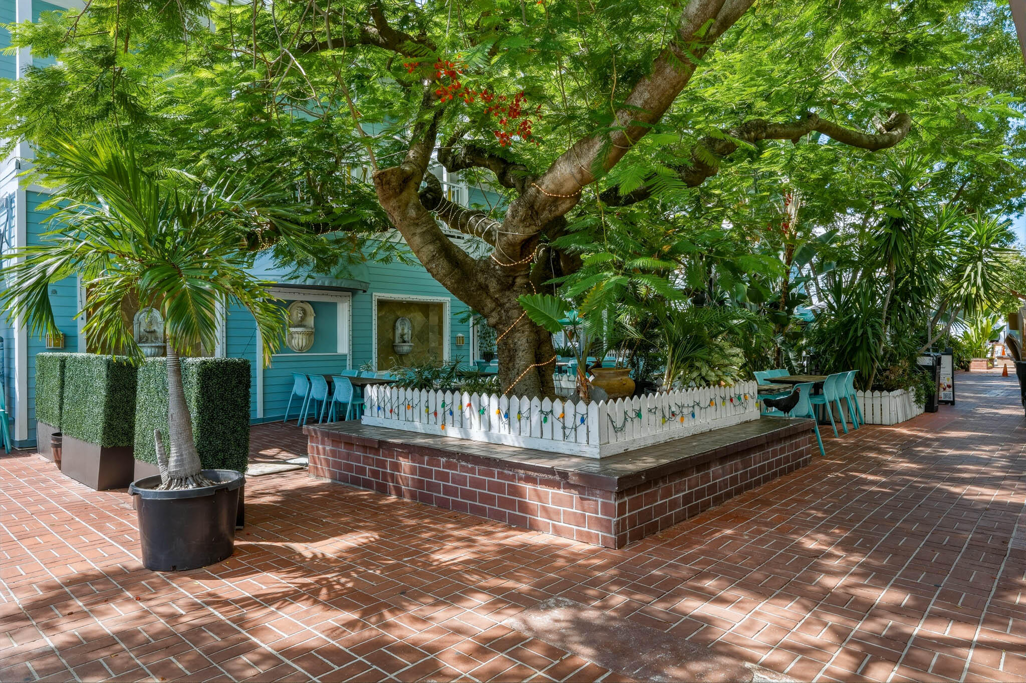 1075 Duval Street C1 & C2
