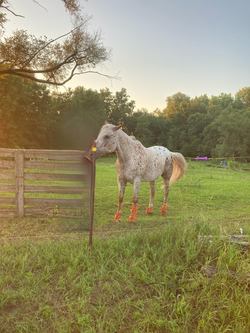 21882 410 East Street