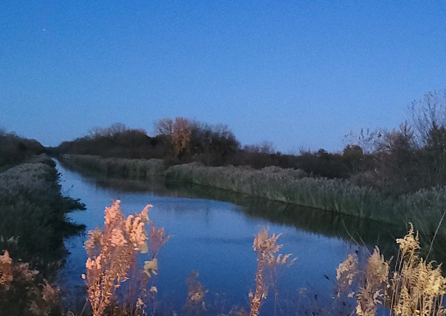 21882 410 East Street