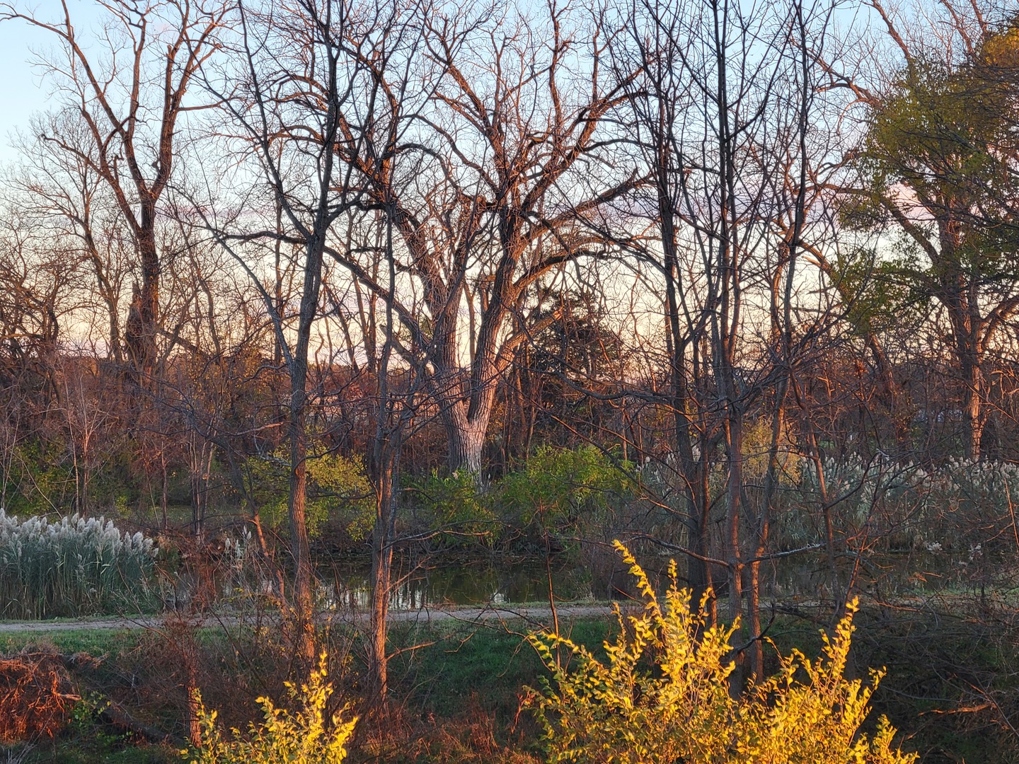 21882 410 East Street