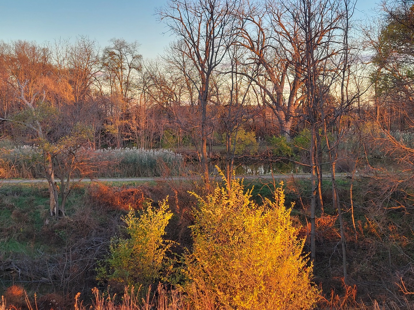 21882 410 East Street