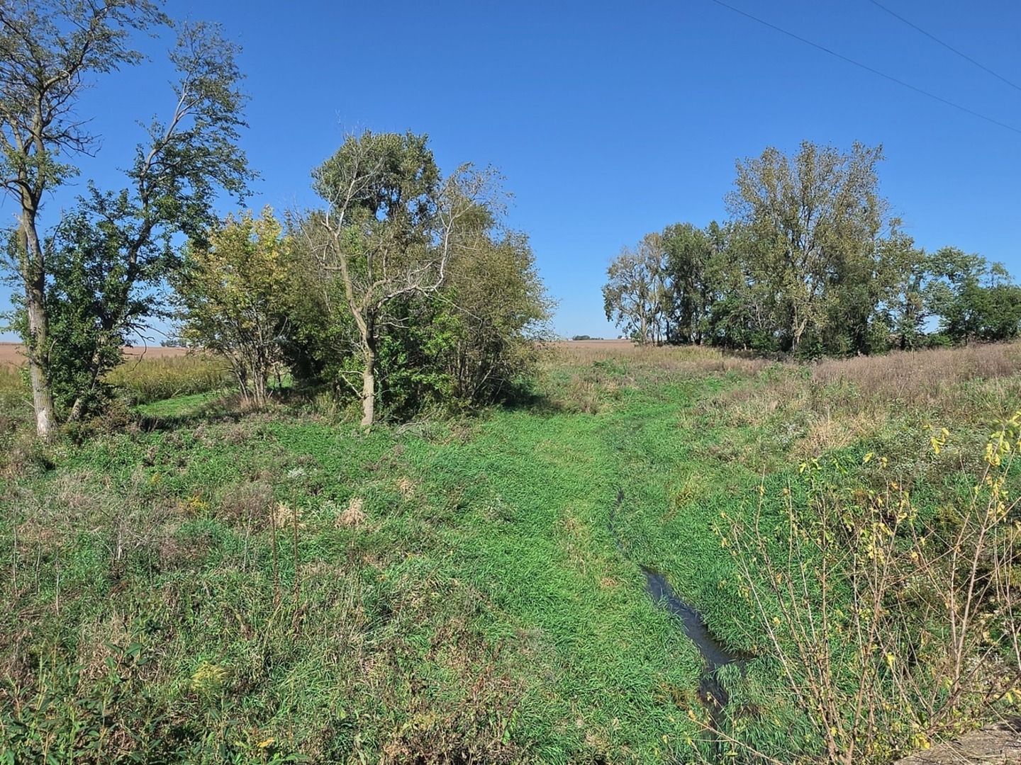 Rural land with scattered trees, grassy field, and a narrow drainage channel.