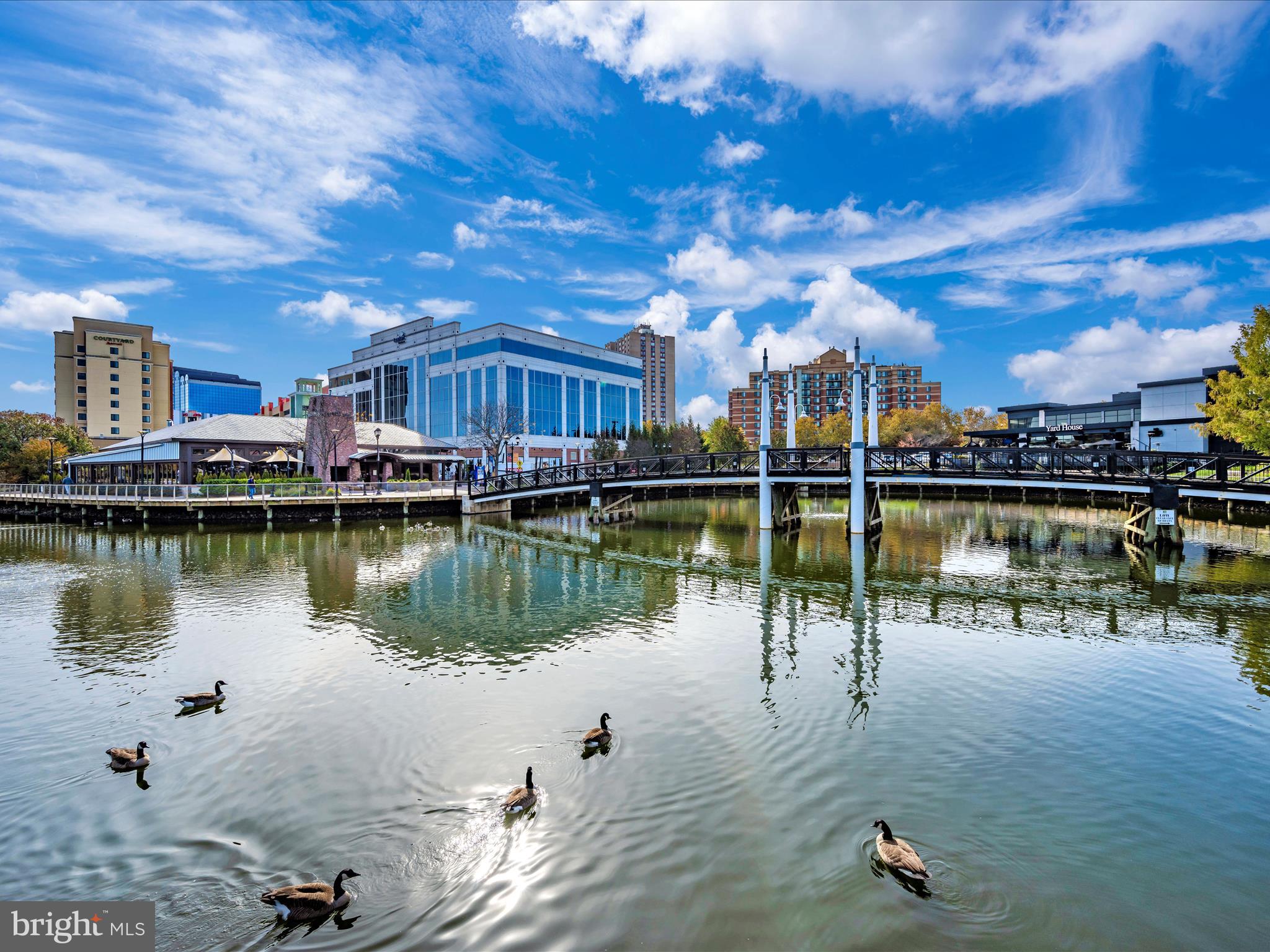 1009 ROCKWELL AVENUE